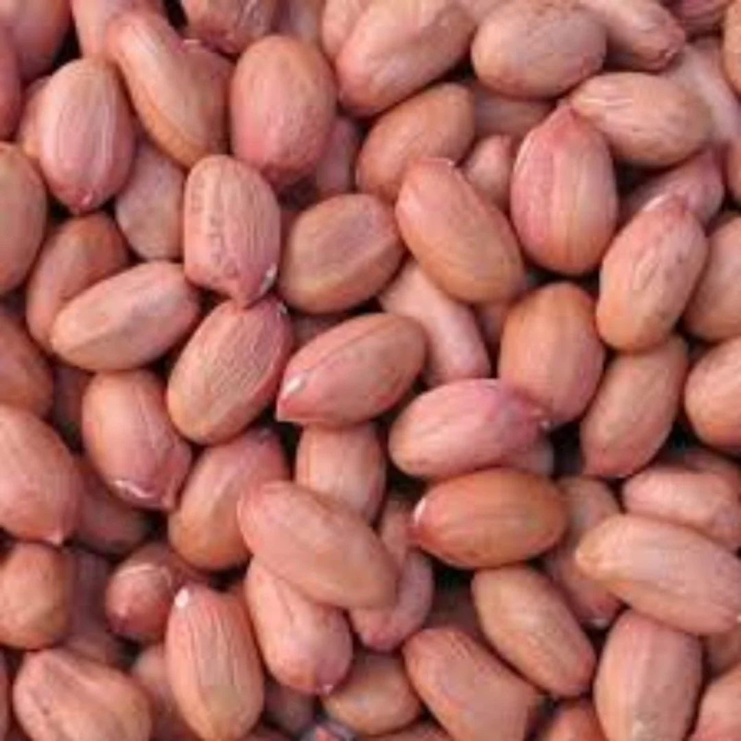Shengdane (Peanut)