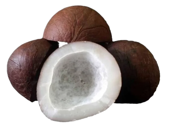 Dry Coconut