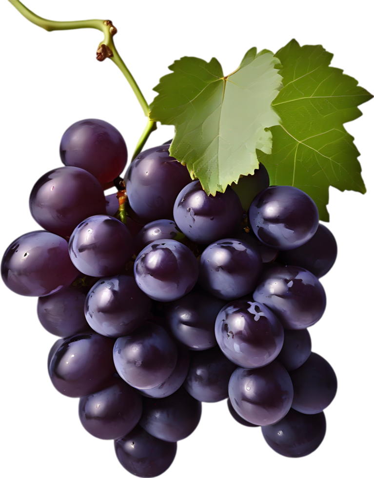Black Grapes (Angoor)