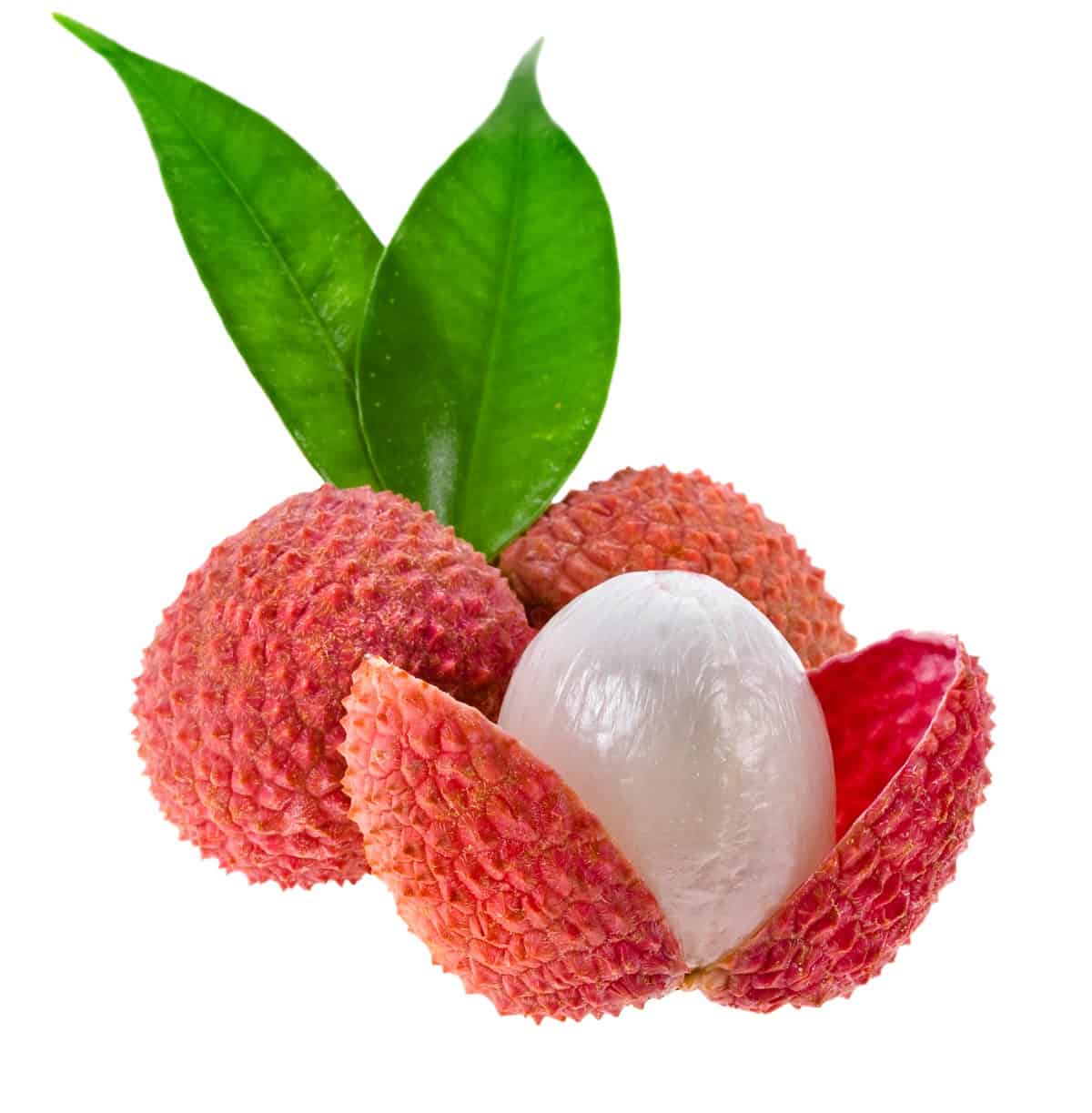 Lithci Fruit